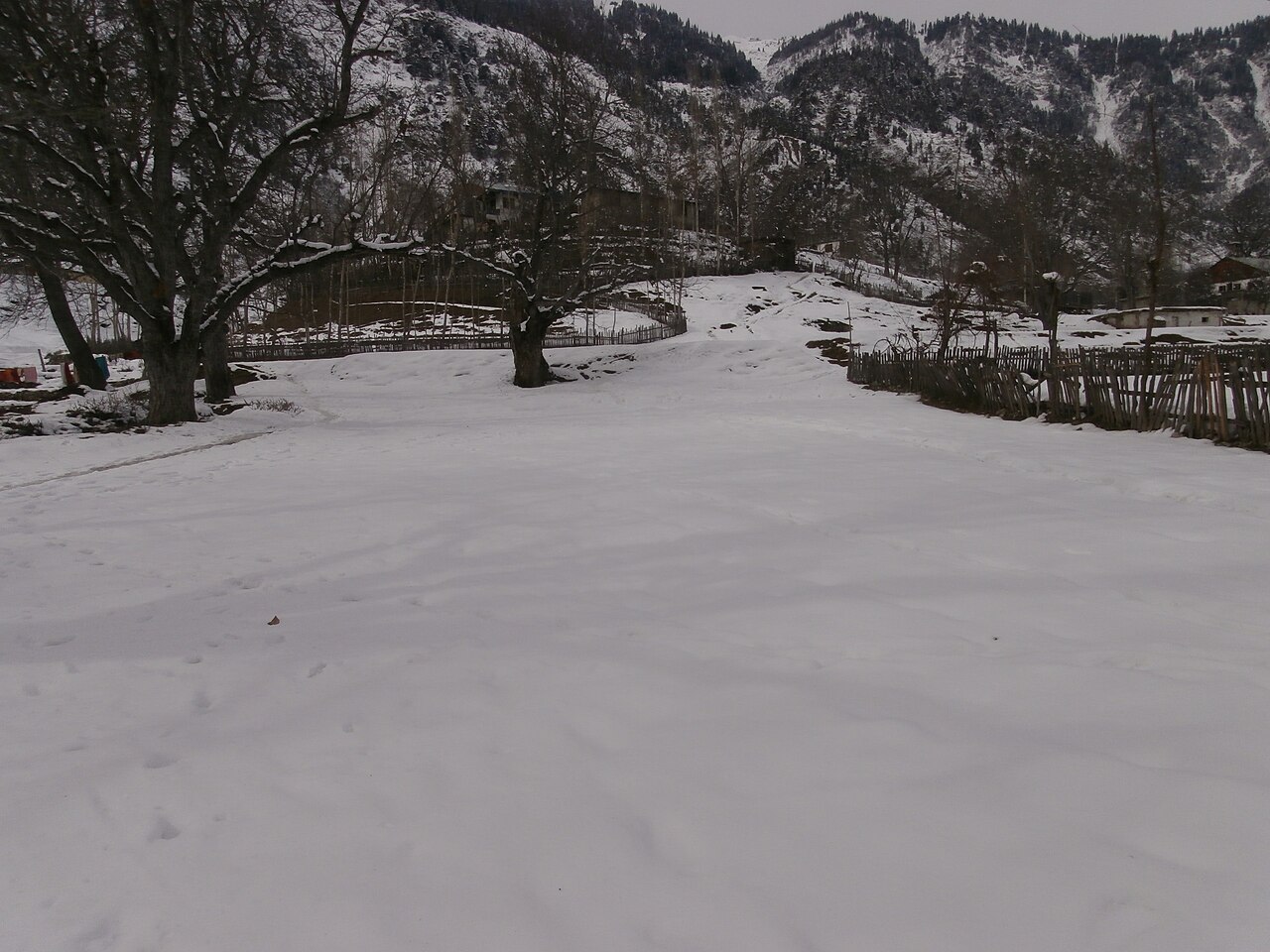 Winter snow in Kalam